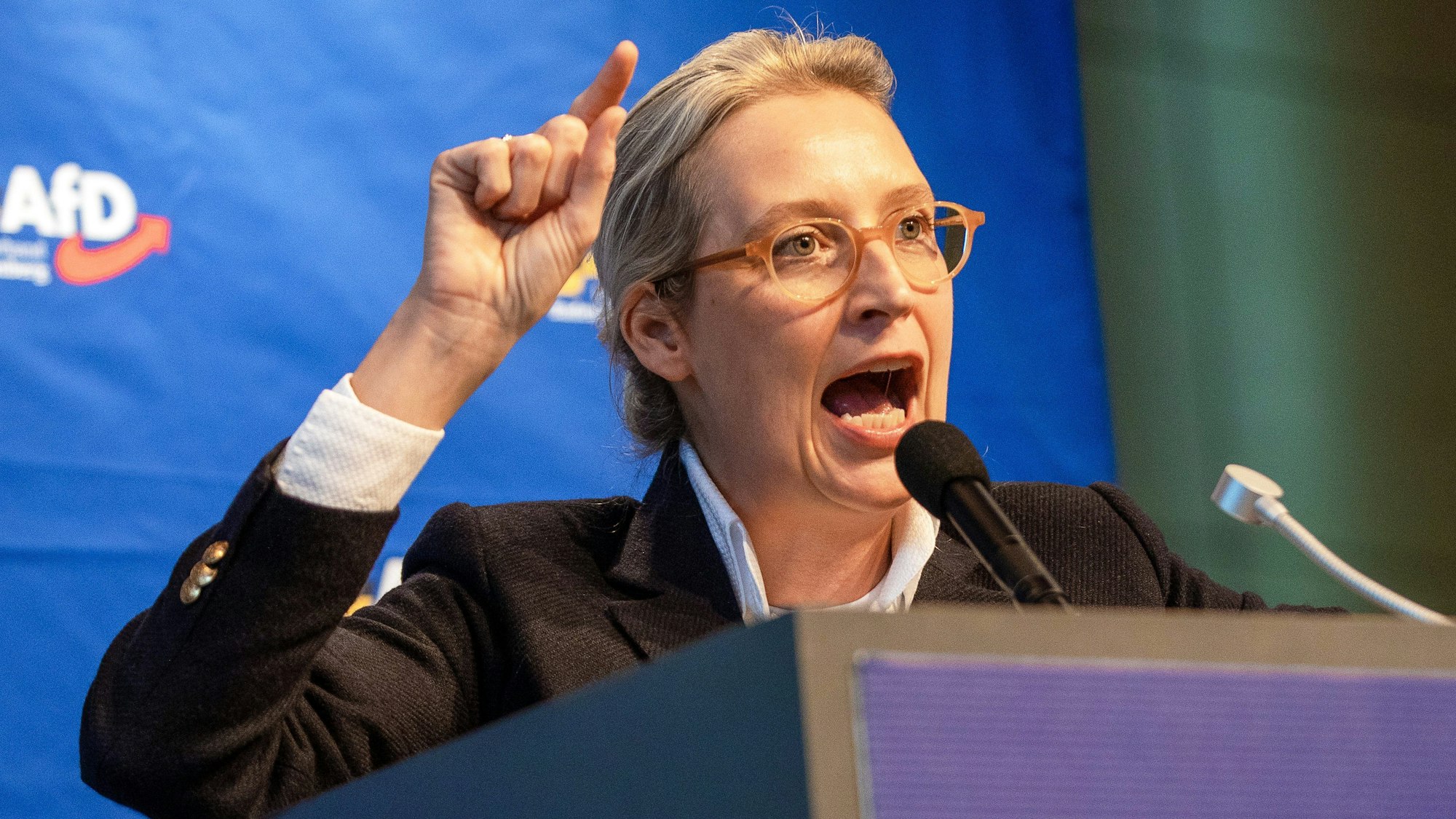 Alice Weidel, Bundessprecherin der AfD, spricht während des AfD-Landesparteitags im baden-württembergischen Rottweil zu Parteimitgliedern.