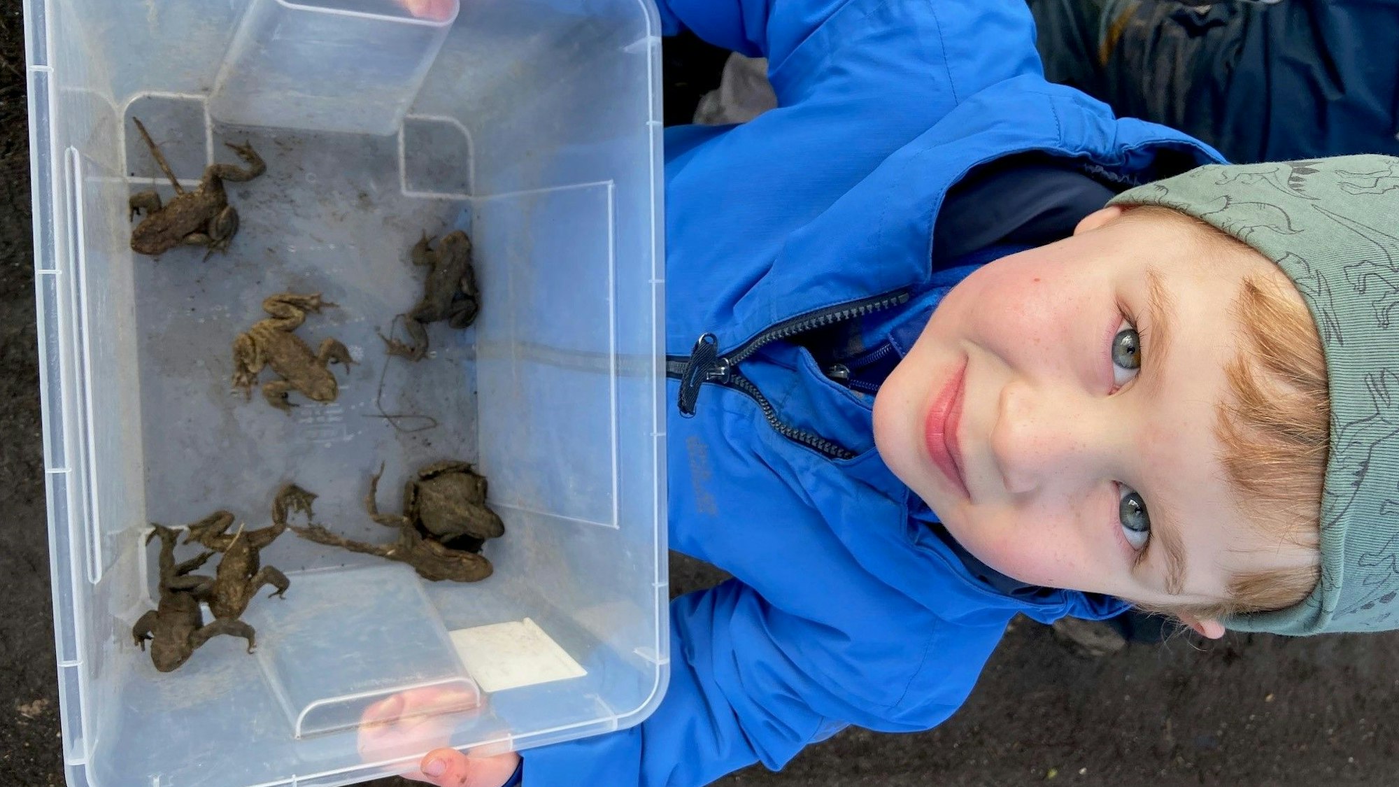 Auf dem Bild ist ein Junge mit Kröten zu sehen.