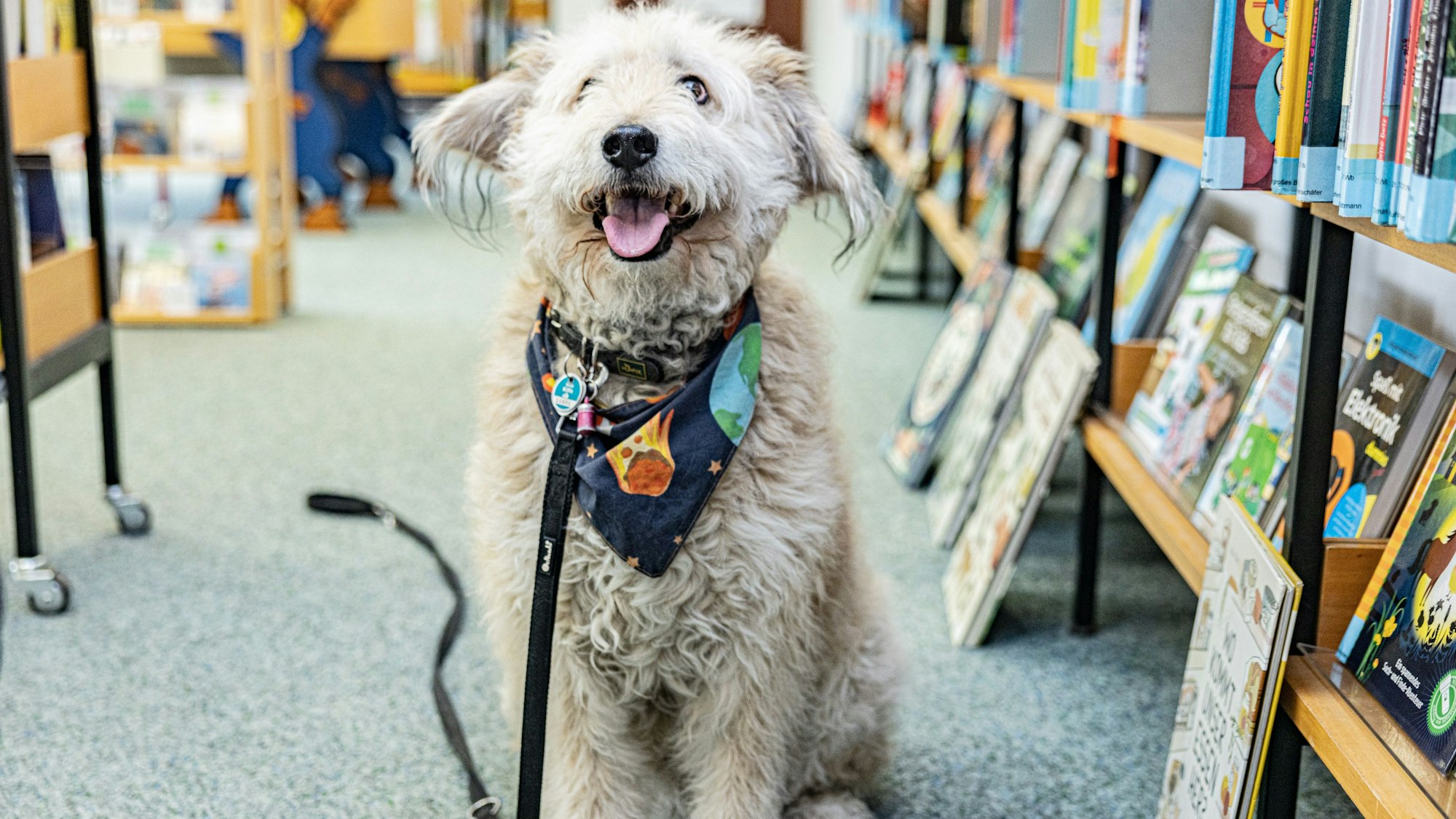Rudi Rakete ist jeden Dienstag mit seiner Besitzerin in der Porzer Bibliothek zu Gast.