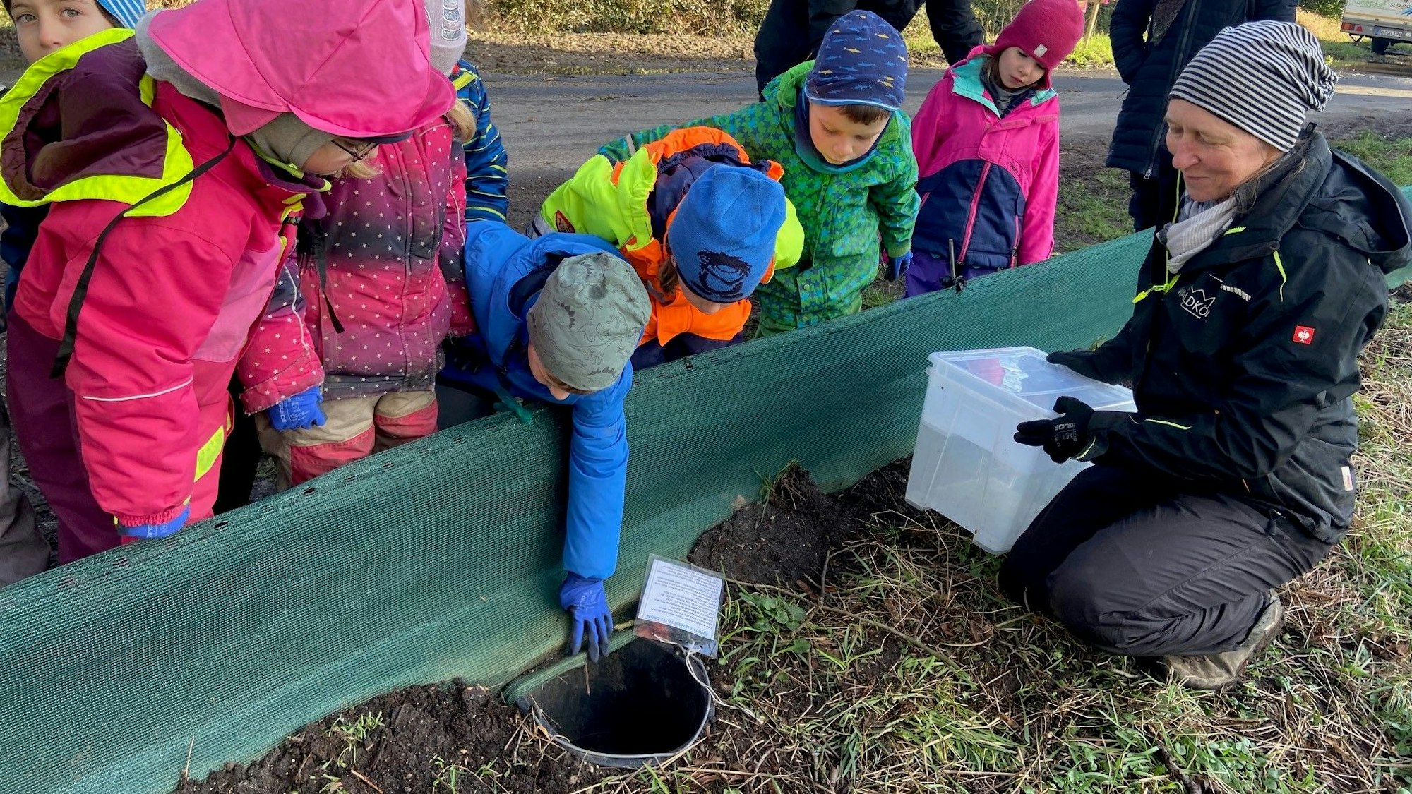 Auf dem Bild sind Kindergartenkinder an einem Amphibien-Schutzzaun zu sehen.
