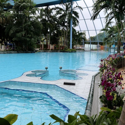 Das Bild zeigt das große Becken der Freizeitanlage, das von Palmen und Blumen gesäumt ist.