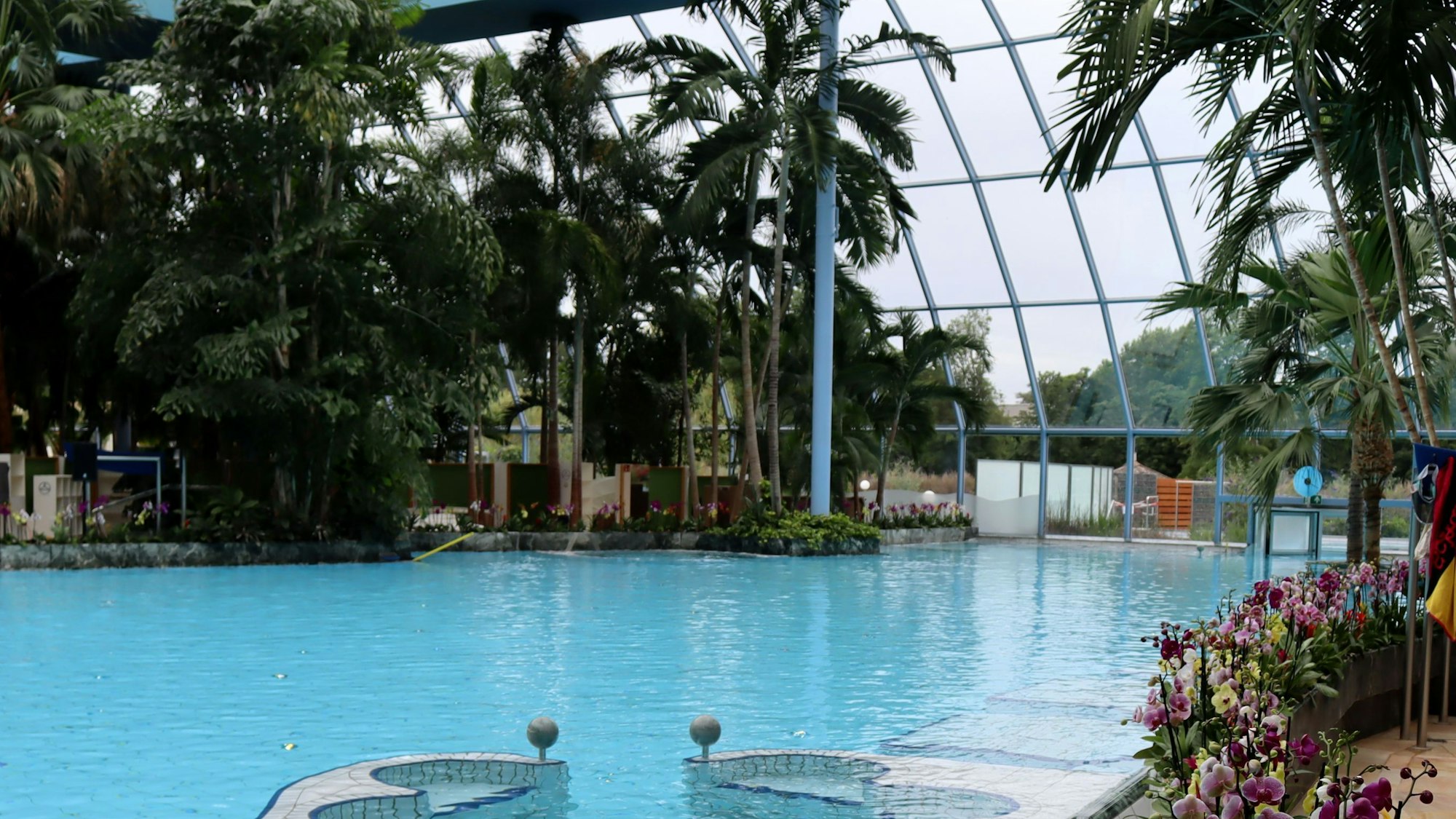 Das Bild zeigt das große Becken der Freizeitanlage, das von Palmen und Blumen gesäumt ist.