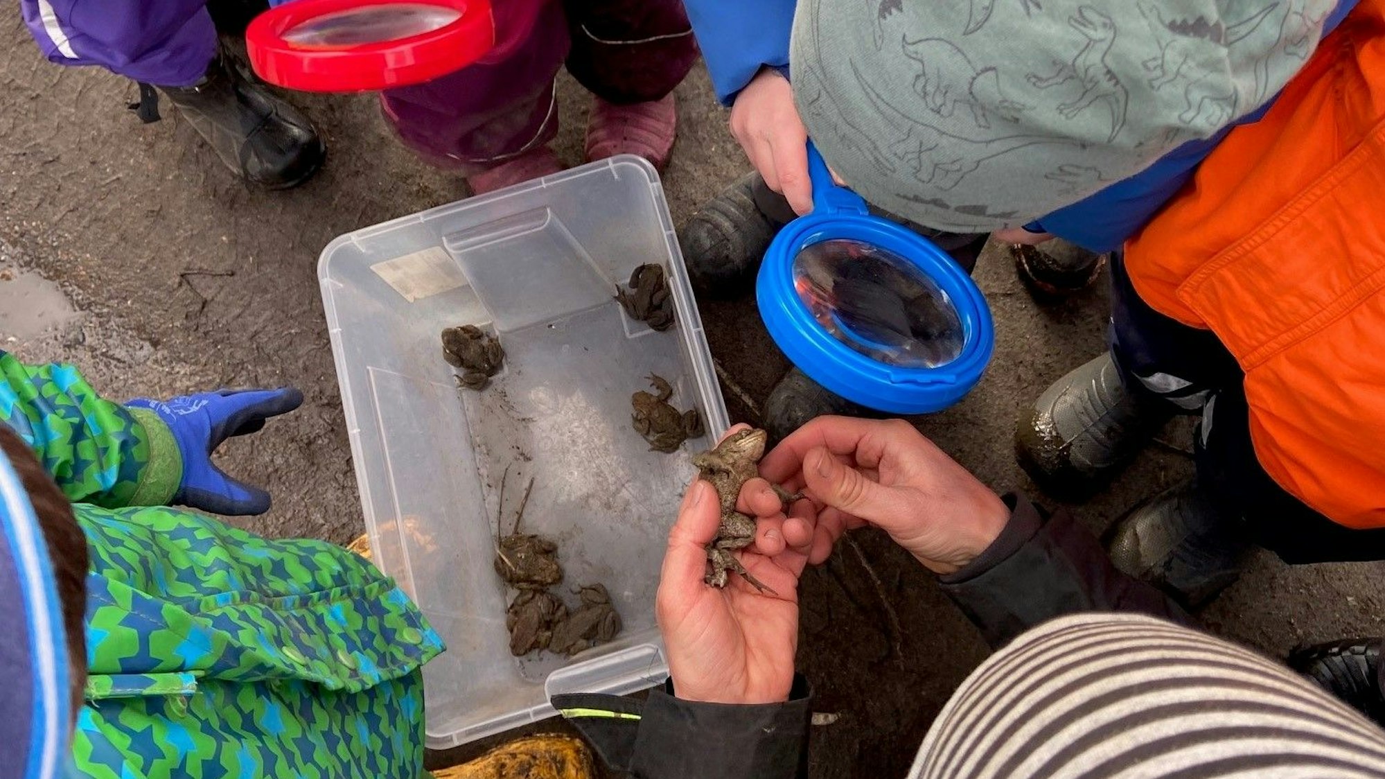 Auf dem Bild sind Kinder und eine Lupe zu sehen.