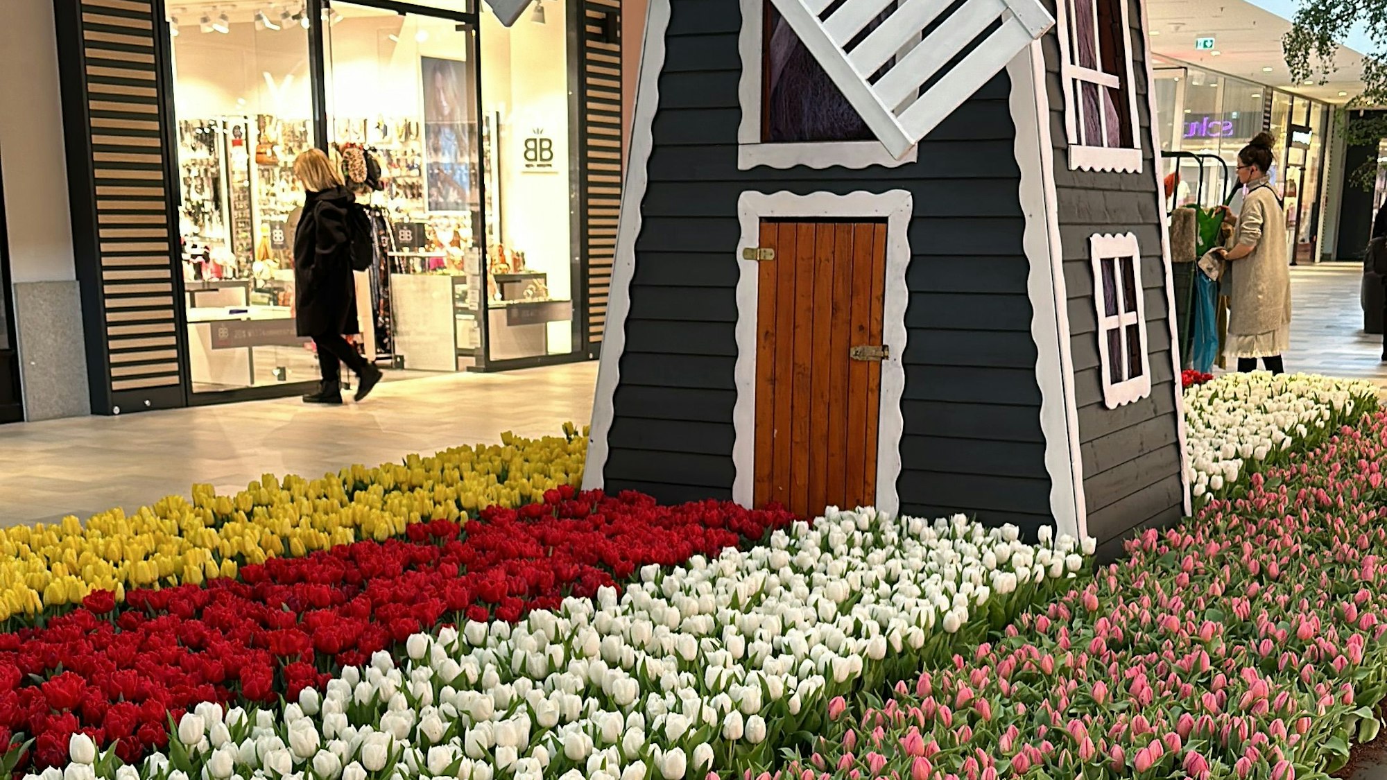 Tulpen auf den Fluren im Huma.