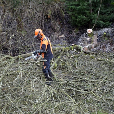 Vor dem 1. März zieht die Waldbröler Ortsgruppe des Nabu ins Grüne und macht auf dem Gelände der Alten Lehmgrube alles fertig für die Amphibiensaison. Das Foto zeigt einen Nabu-Mann beim Zersägen von Ästen.