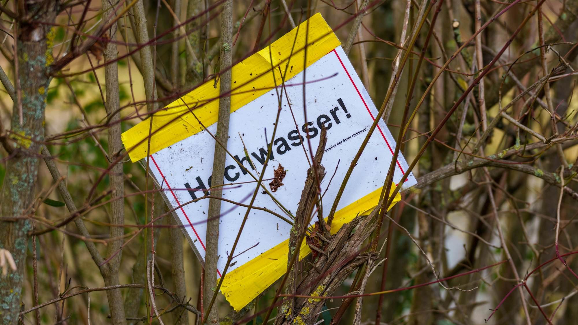 Ein Plakat ·Hochwasser!· hängt in einer Hecke