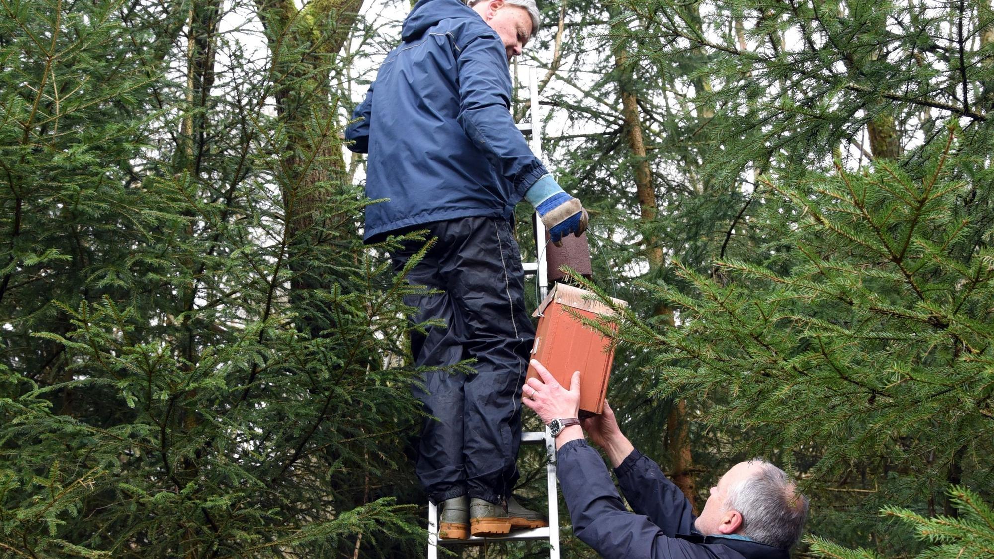 Bei ihrem jüngsten Einsatz in Waldbröls Alter Lehmgrube haben Reiner Stegemann (unten) und Joachim Herholz auch marode Nistkästen gegen neue Nistkästen ausgetauscht.