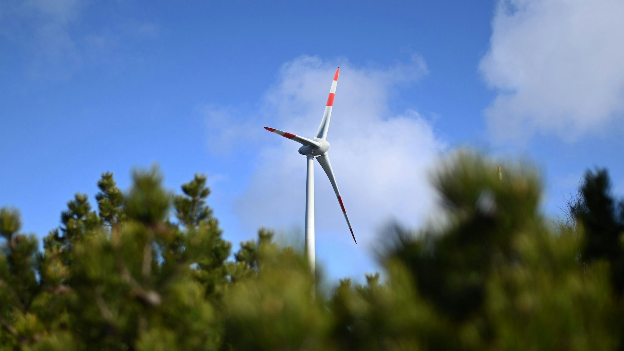 Die Rotoren einer Windkraftanlage sind über den Wipfeln von Bäumen zu sehen.
