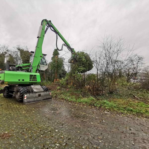 Entlang der alten Bahntrasse von Kaster nach Harff werden derzeit die Bäume geschnitten und teilweise sogar entfernt.