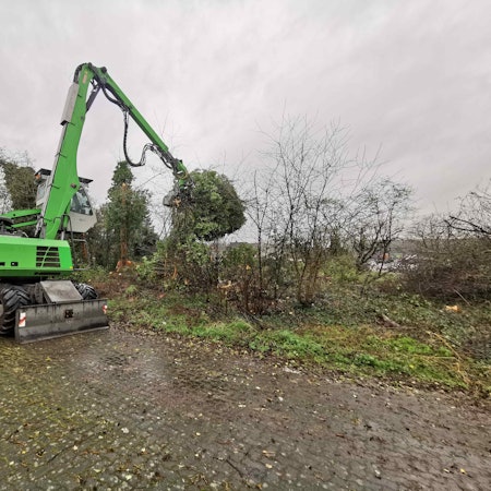 Entlang der alten Bahntrasse von Kaster nach Harff werden derzeit die Bäume geschnitten und teilweise sogar entfernt.