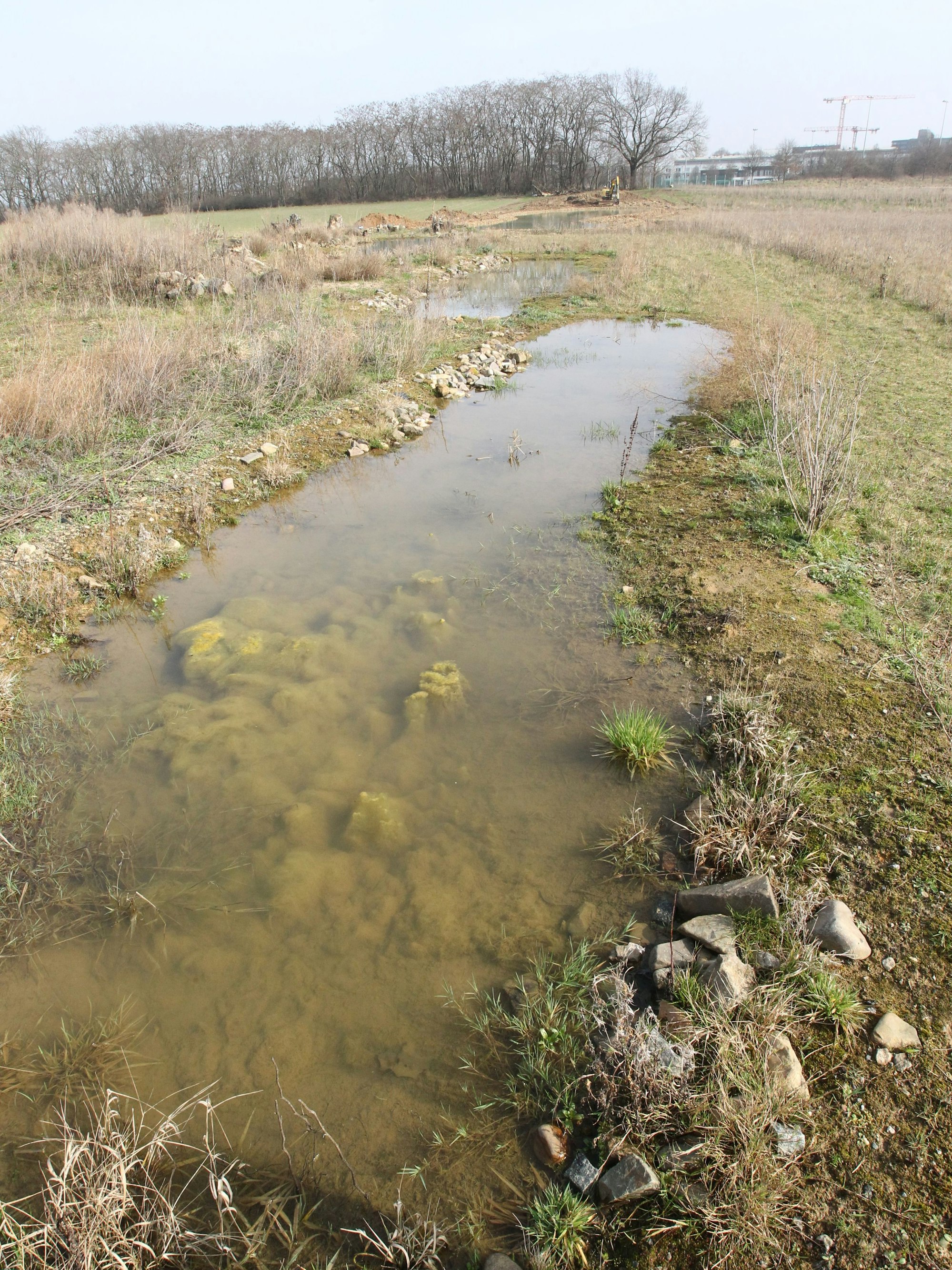 Die drei kleineren Teiche aus dem Vorjahr sind von den Tieren schon sehr gut angenommen worden.