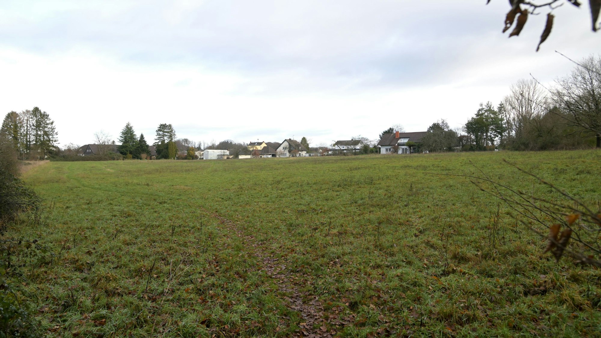 Auf der Altvolberger Wiese in Rösrath-Forsbach werden 40 Häuser und eine Kita gebaut. Das ist nun beschlossen.