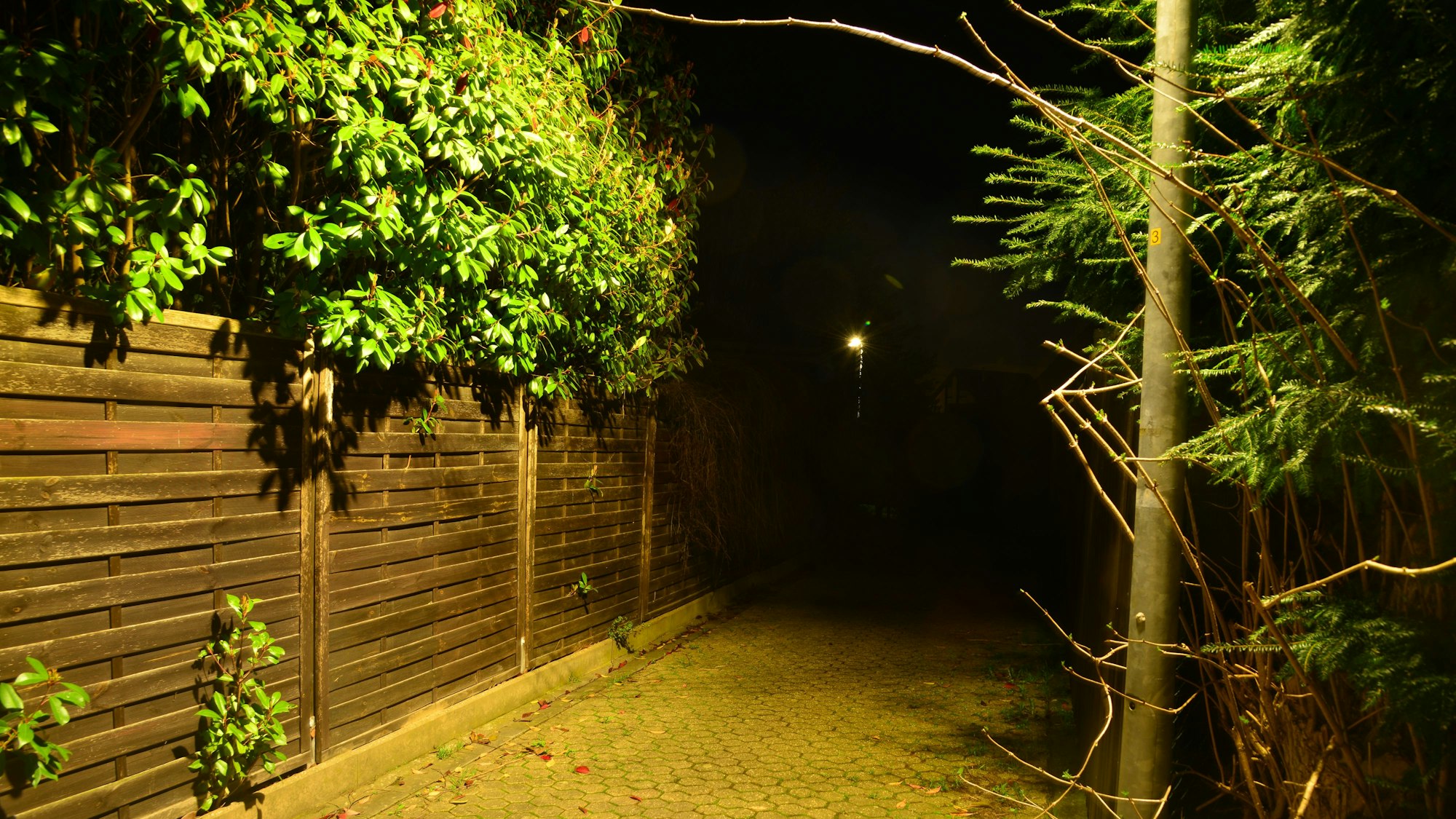 Eine Gasse führt ins Dunkle.