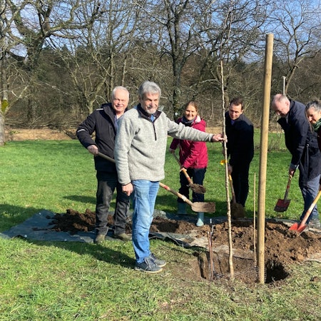 Sechs Menschen pflanzen gemeinsam einen Setzling.