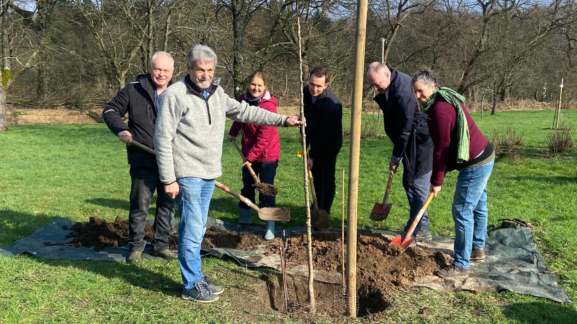 Sechs Menschen pflanzen gemeinsam einen Setzling.