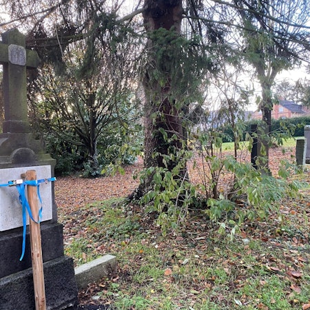 Zu sehen ist ein alter Grabstein, der mit einem Holzpflock und Riemen stabilisiert wurde.