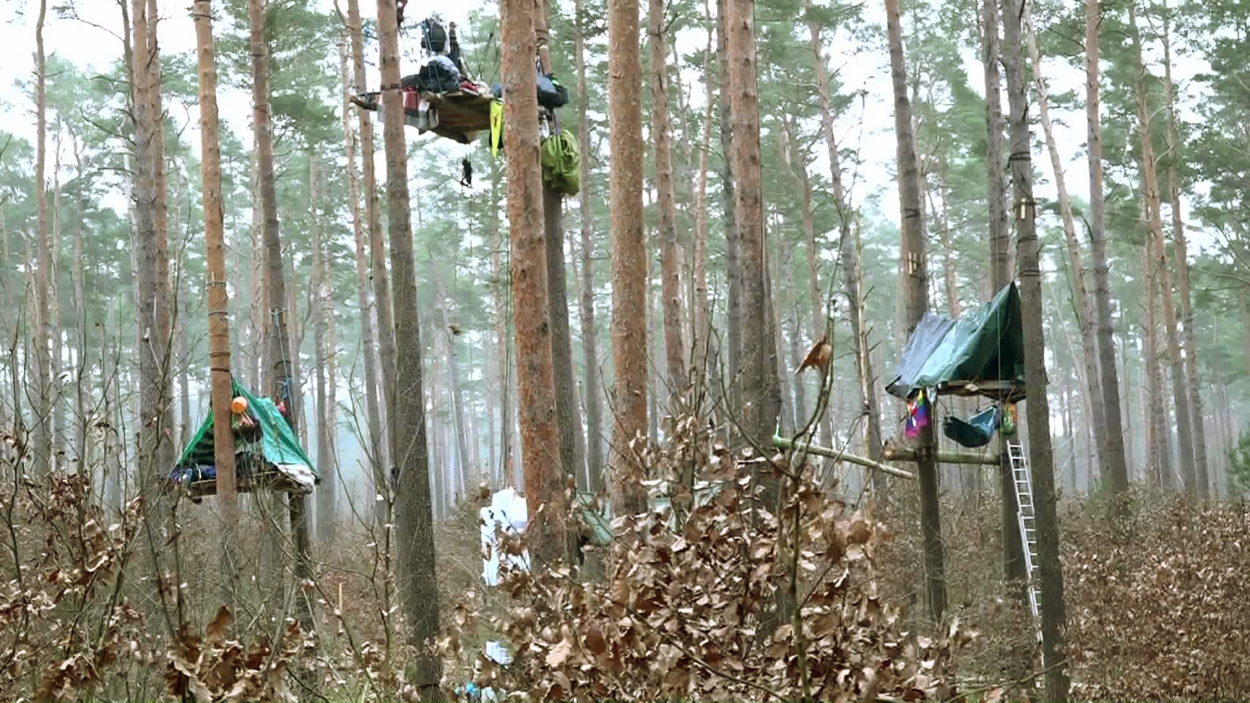 01.03.2024, Brandenburg, Grünheide: Aktivisten schlafen in luftiger Höhe.