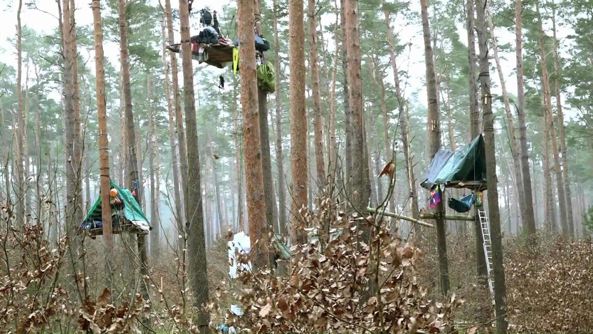 01.03.2024, Brandenburg, Grünheide: Aktivisten schlafen in luftiger Höhe.