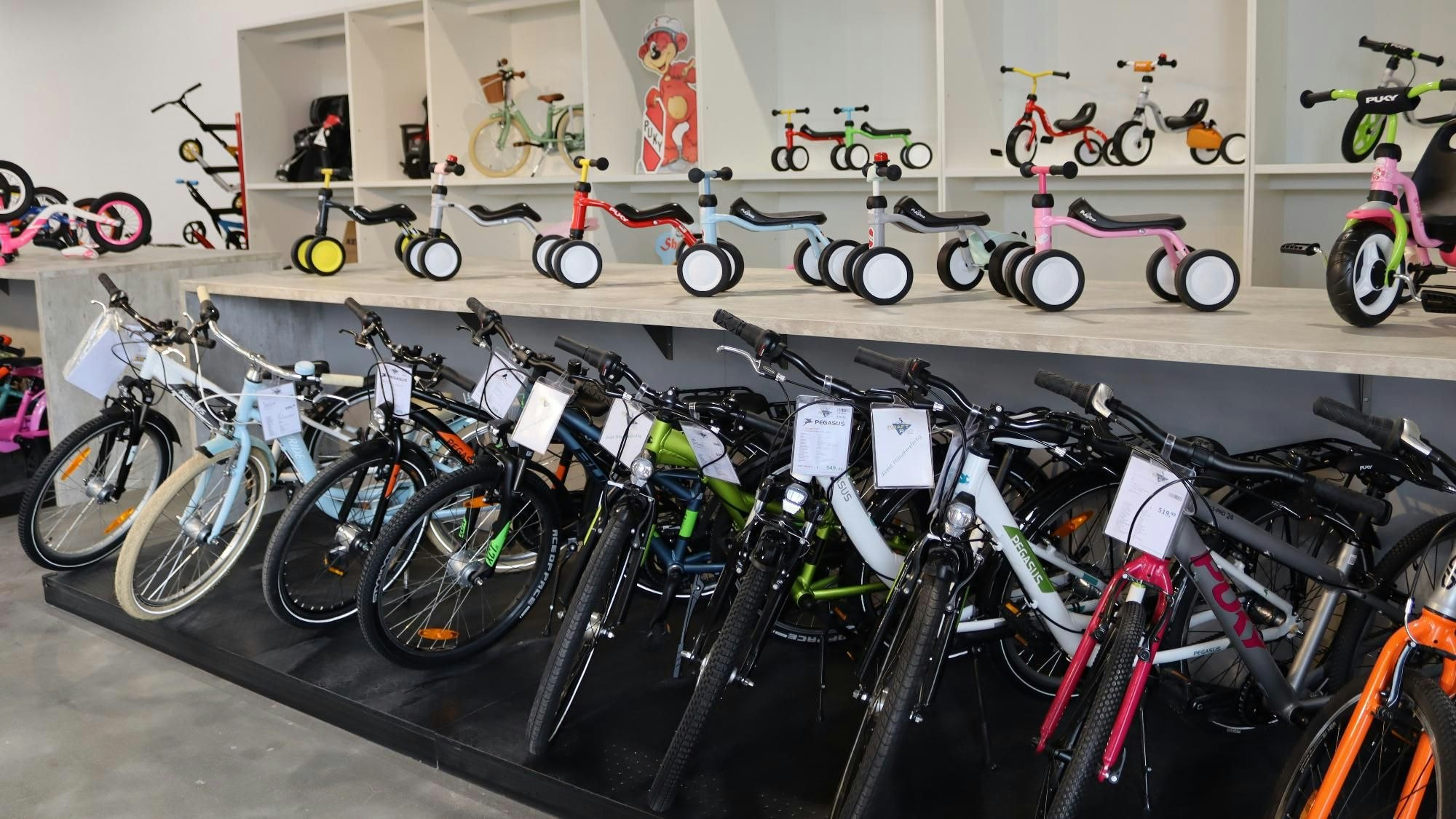 Auf dem Bild sind Fahrräder in einem Geschäft zu sehen.