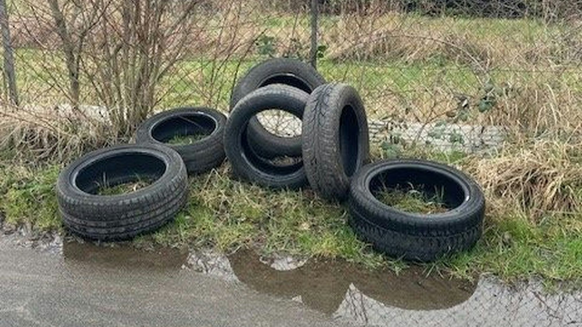 Altreifen liegen am Gemüseweg im Stadtgebiet von Bornheim.