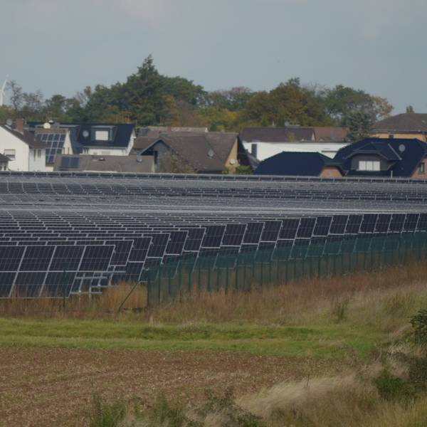Der Solarpark bei Wüschheim.