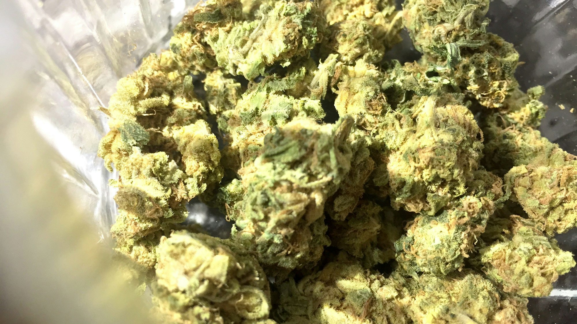 ARCHIV - 29.09.2017, Nordrhein-Westfalen, Löhne: Cannabisblüten liegen in einem Glas. (zu dpa: «Union: Cannabis-Gesetz bricht Völkerrecht - Appell an Steinmeier») Foto: Lino Mirgeler/dpa +++ dpa-Bildfunk +++