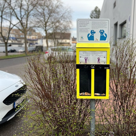 Ein gelber Sammelbehälter für Zigarettenkippen mit zwei Fächern.