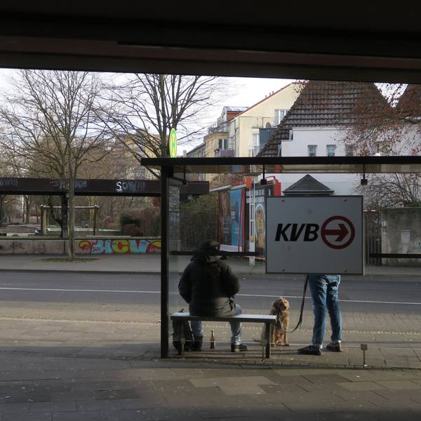 An einer Bushaltestelle warten zwei Fahrgäste, einer hat einen Hund dabei.