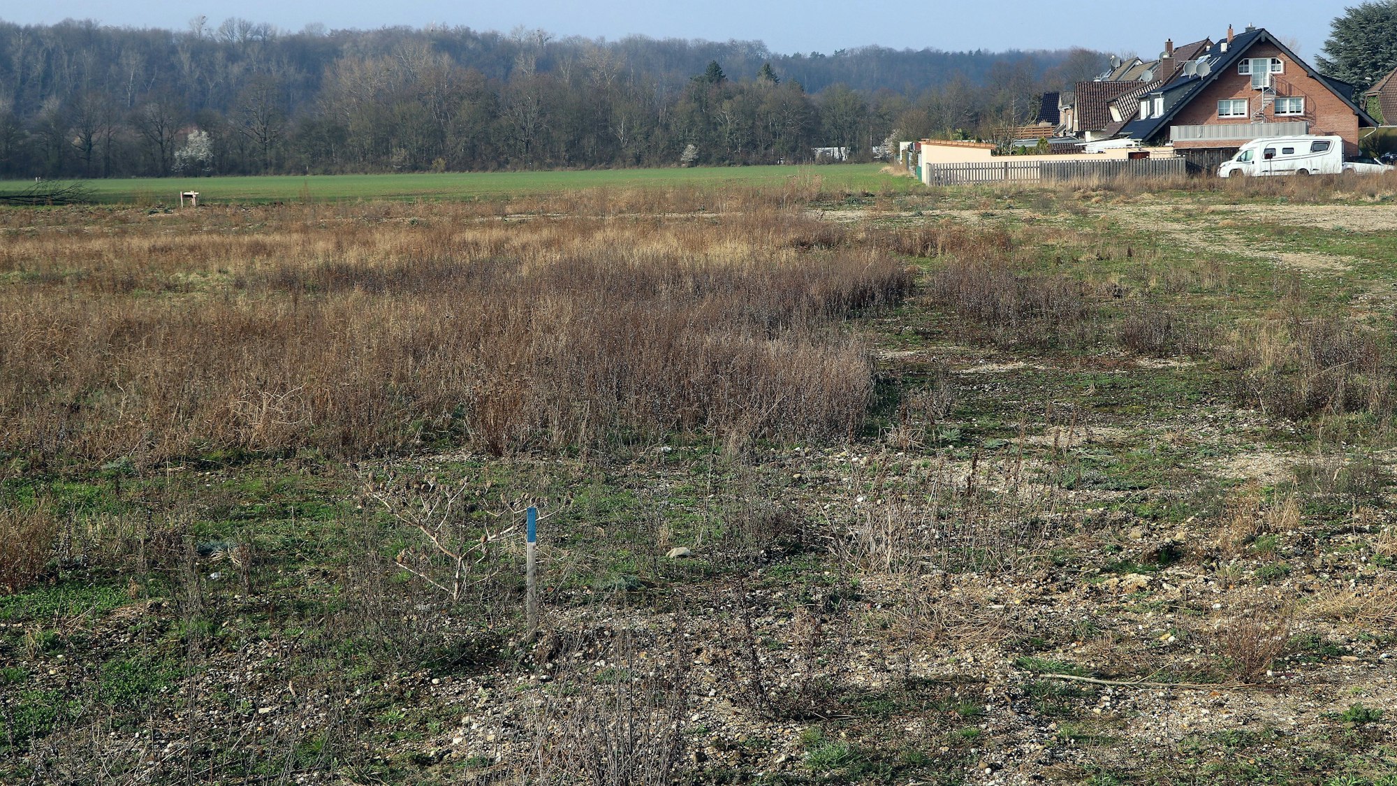 Auf dem Bild ist ein freies Grundstück zu sehen.