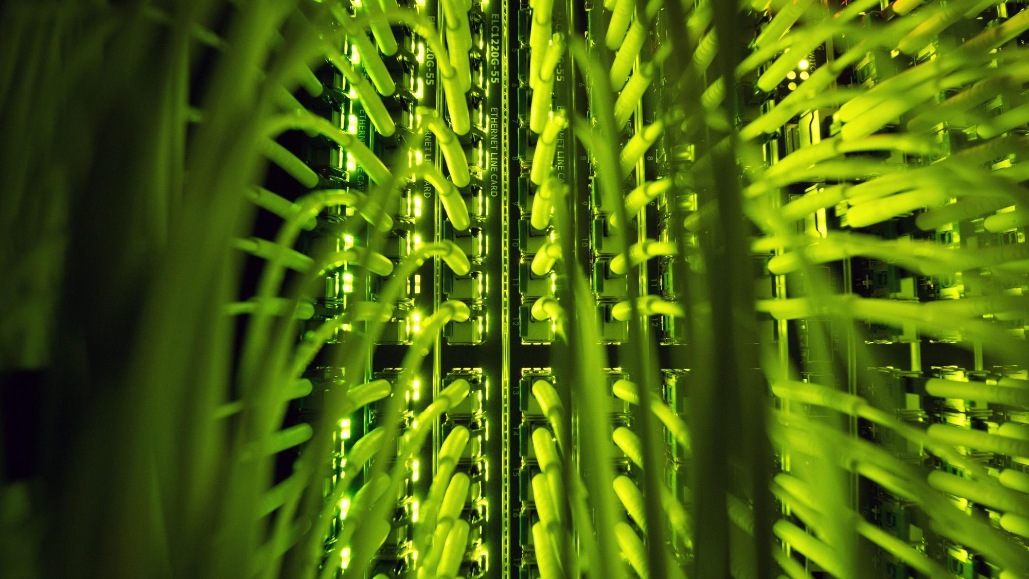 Zahlreiche Glasfaserkabel, unter anderem zur Übertragung von Hochgeschwindigkeitsinternet, laufen an einem Verteilerpunkt zusammen.