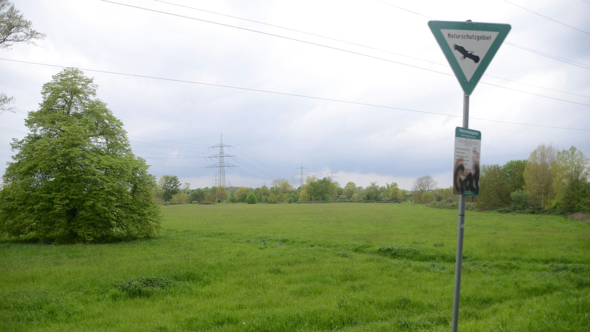 Eine üppig-grüne Wiese, auf der ein Schild steht, die sie als Naturschutzgebiet ausweist.