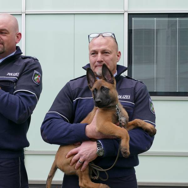 Zwei Polizisten vor einem Wachgebäude. Beide haben jeweils einen Hundewelpen auf dem Arm.