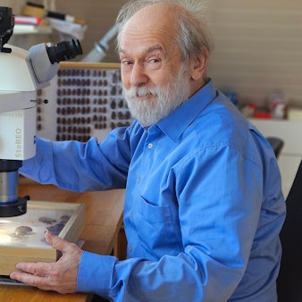 An Mann sitzt an einer Stereolupe, mit der er Insekten in Schaukästen untersuchen kann.