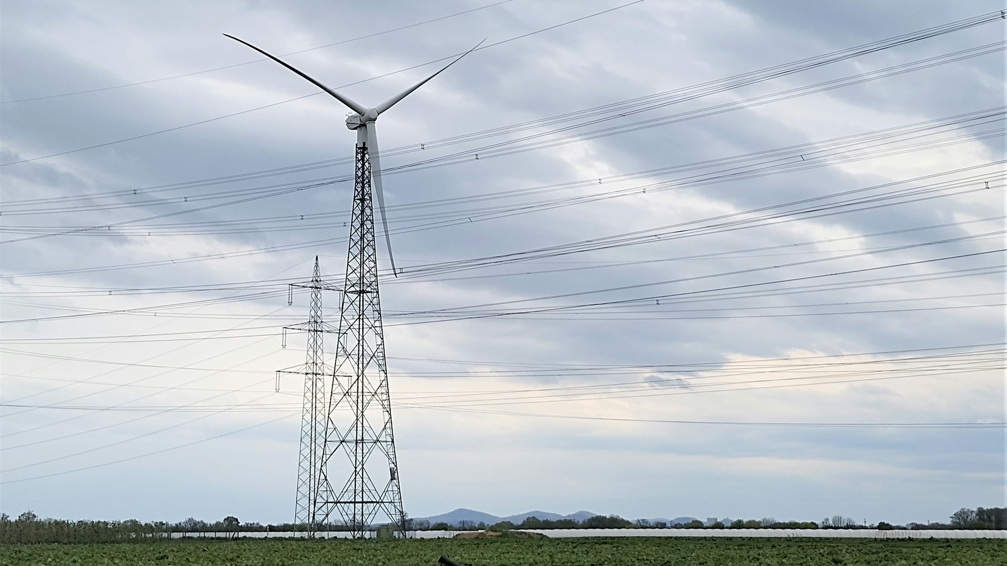 Windrad und Stromleitungenin der Rheinebene bei Bornheim.