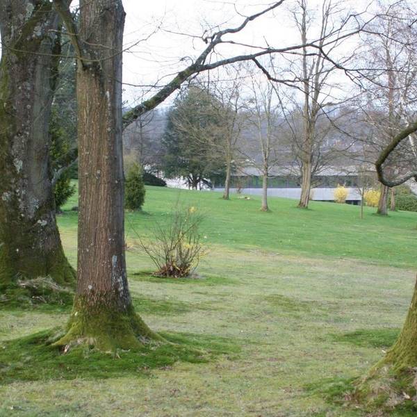 Eine Wiese mit alten Bäumen.