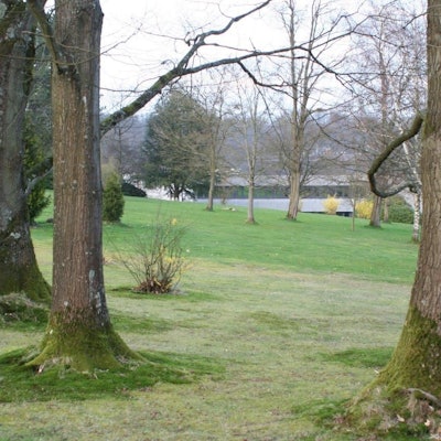 Eine Wiese mit alten Bäumen.