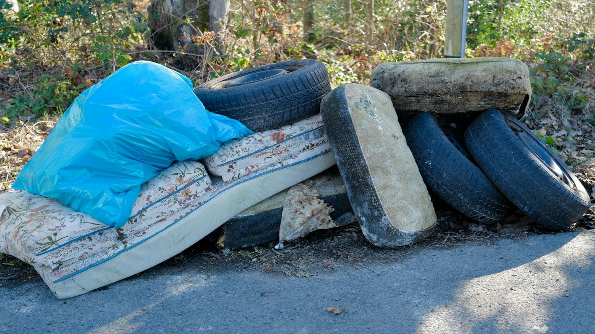 Frühjahrsputz der Kommunen im Rhein-Sieg-Kreis
In Eitorf-Käsberg sammelten die Freiwilligen Matratzen und Autoreifen auf.