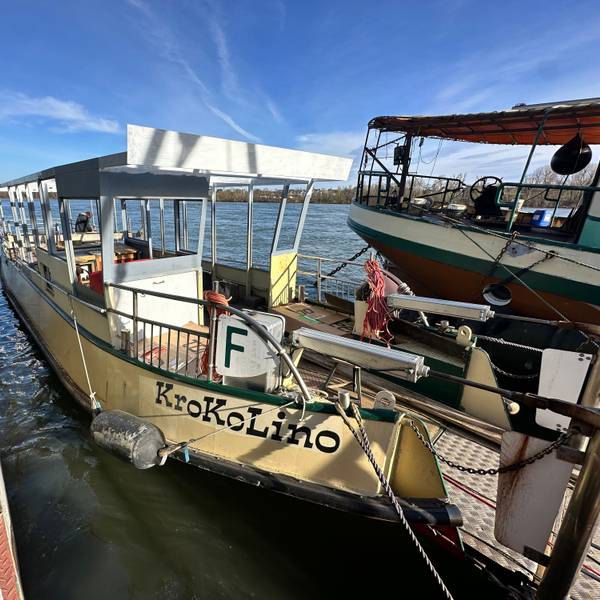 Fähre Krokolino liegt auf dem Rhein.