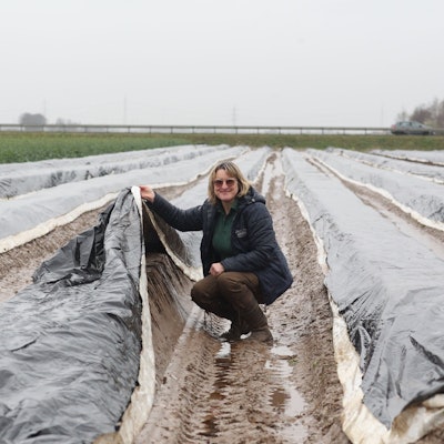 Eine Frau kniet auf einem Spargelfeld.