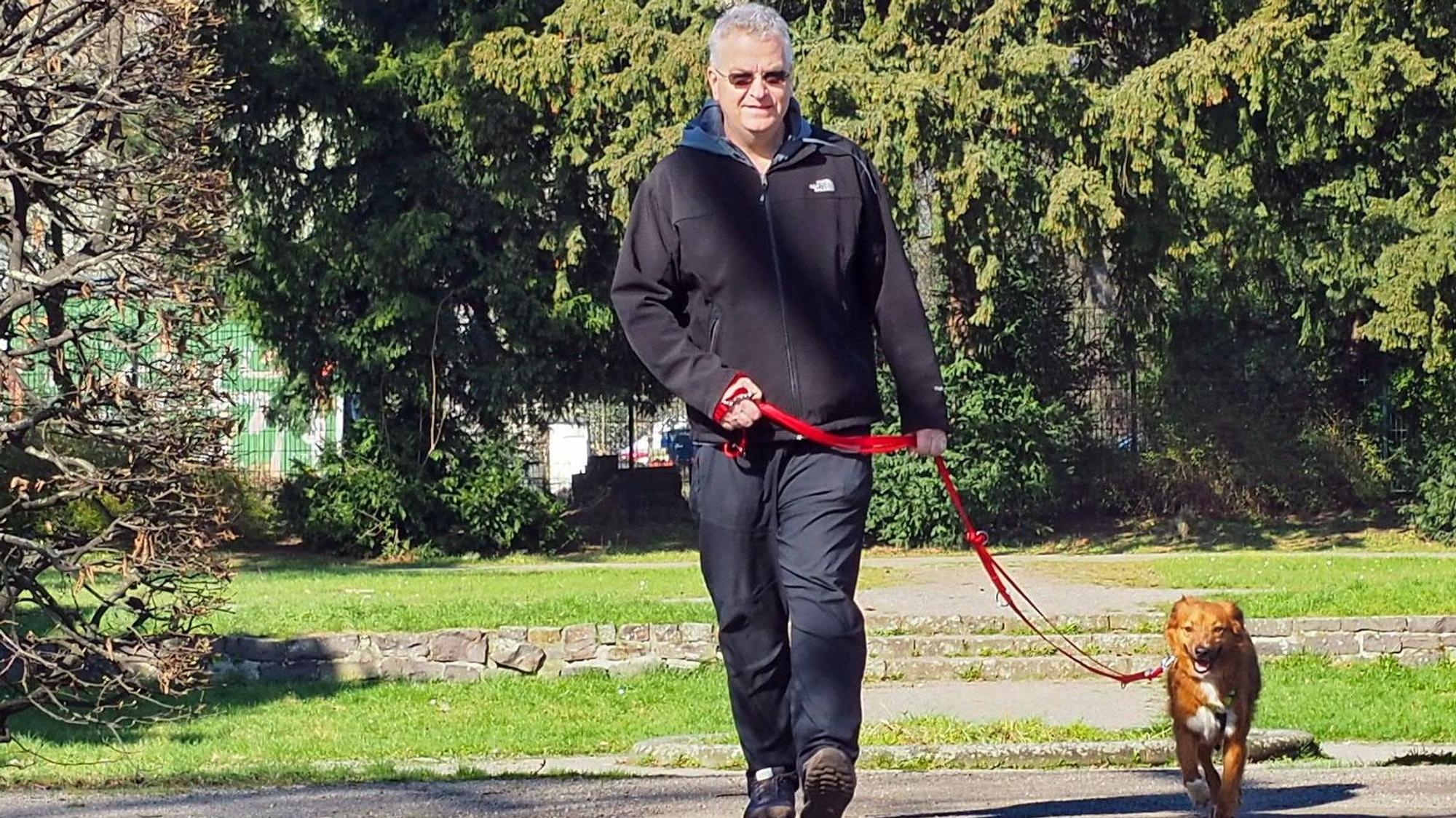 Ein Mann geht mit seinem Hund in einem Park spazieren.