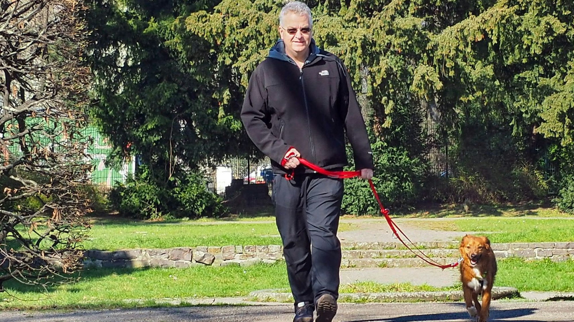 Ein Mann geht mit seinem Hund in einem Park spazieren.