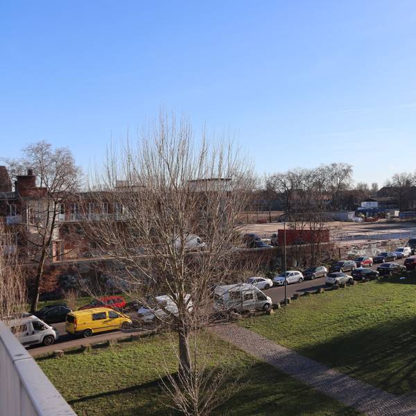 Blick auf eine Rasenfläche und angrenzendes Fabrik-Areal