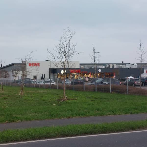Ein Rewe-Supermarkt mit parkenden Autos. Links angrenzend an das Grundstück eine Wiese mit einigen Bäumen.