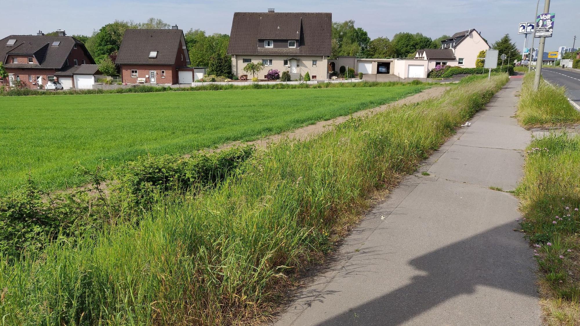Das potenzielle Wohnbaugebiet zwischen der Reusrather Straße (rechts) und Am Rombergsweiher.