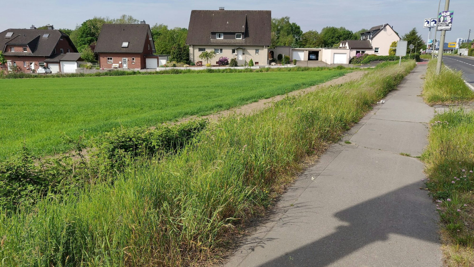Das potenzielle Wohnbaugebiet zwischen der Reusrather Straße (rechts) und Am Rombergsweiher.