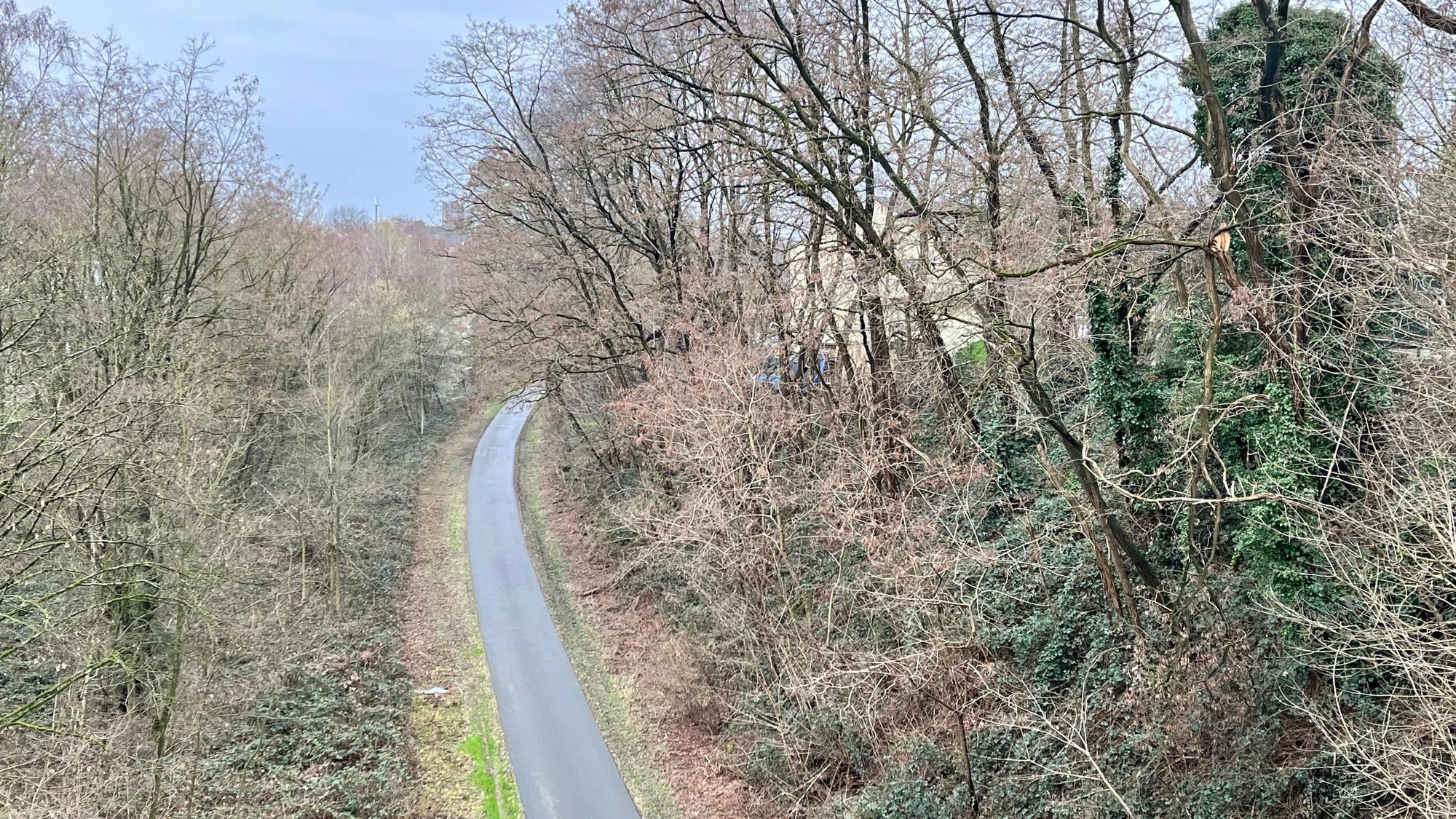 Blick auf die Balkantrasse von der Brücke Griesberger Straße aus
