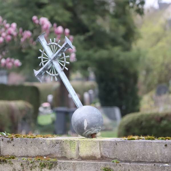 Das Foto zeigt Grabschmuck auf einem Friedhof.