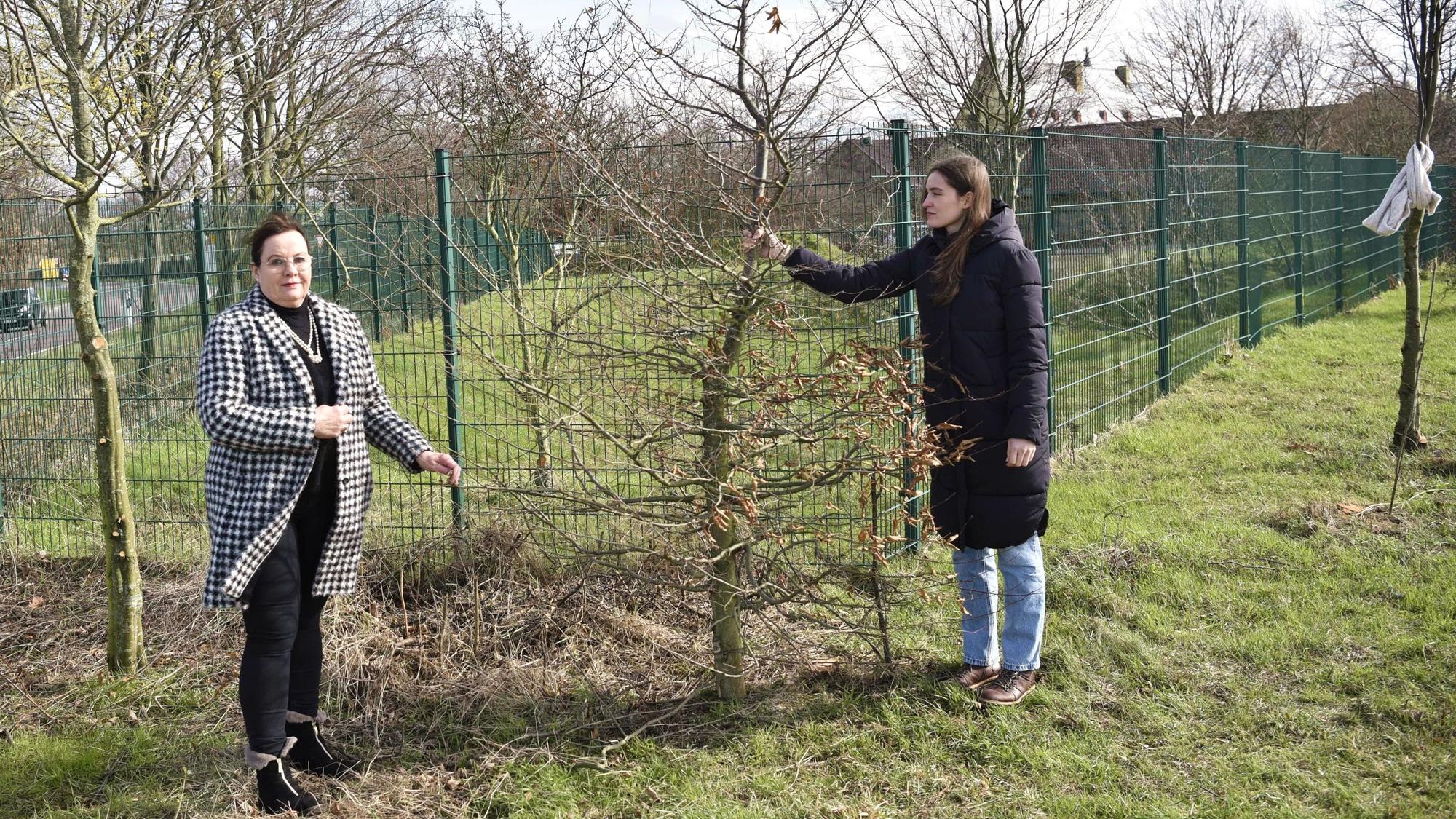 Juliane B. Vetter und Julia Drittler stehen mit einem Baum in der Hand vor einem grünen Zaun.