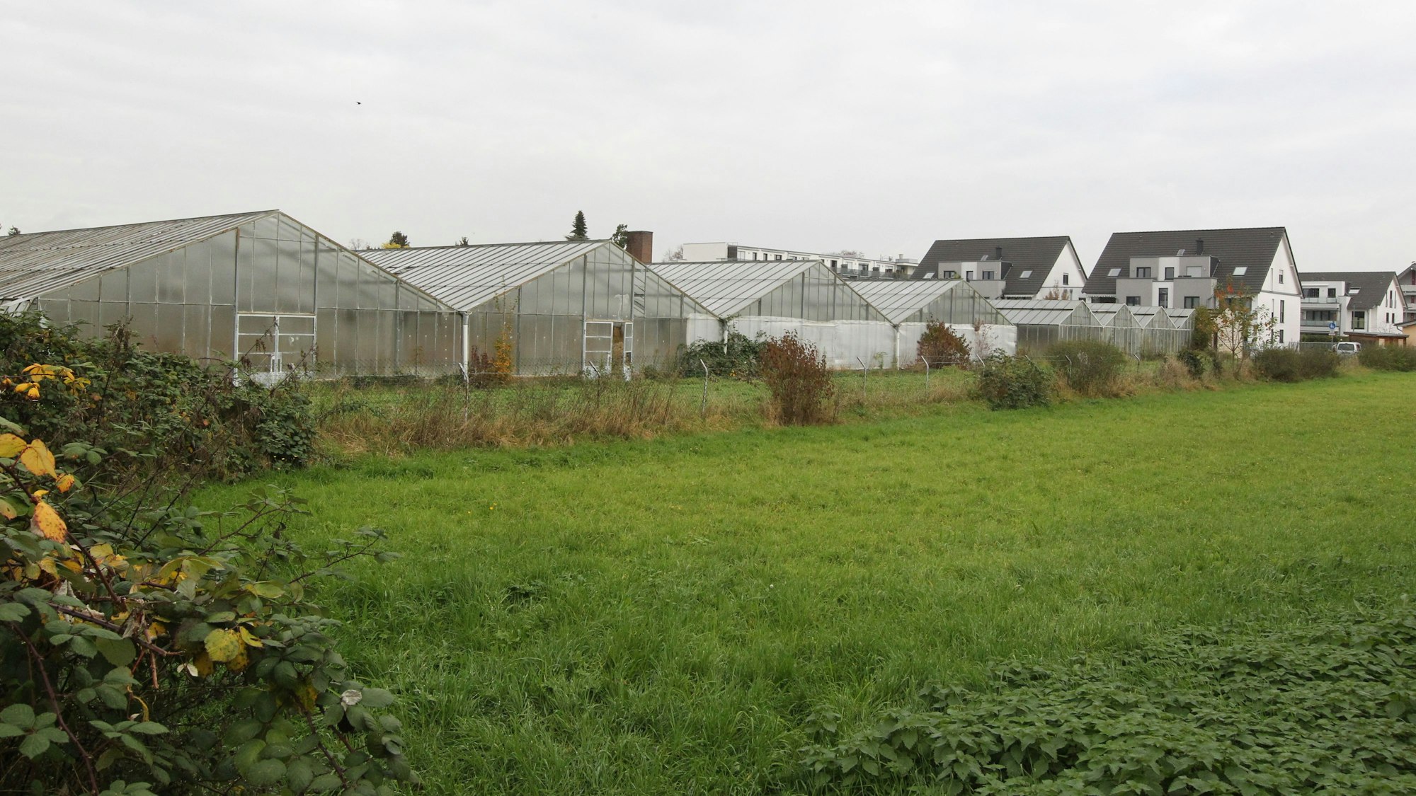 Alte Gewächshäuser zeigen, wie es auf dem Gelände der Gärtnerei früher aussah.