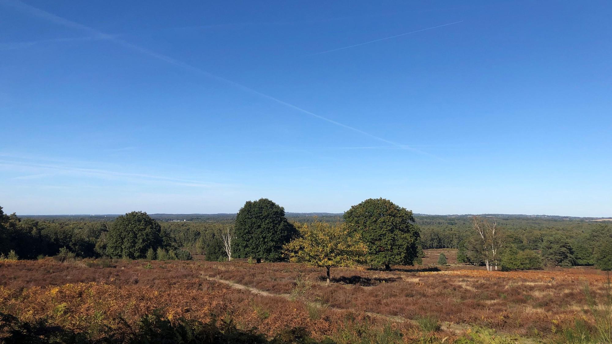 Wahner Heide: Aussicht vom Telegraphenberg
